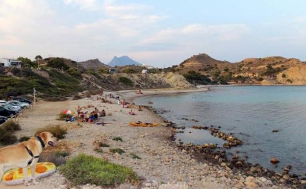 Cala del Xarco