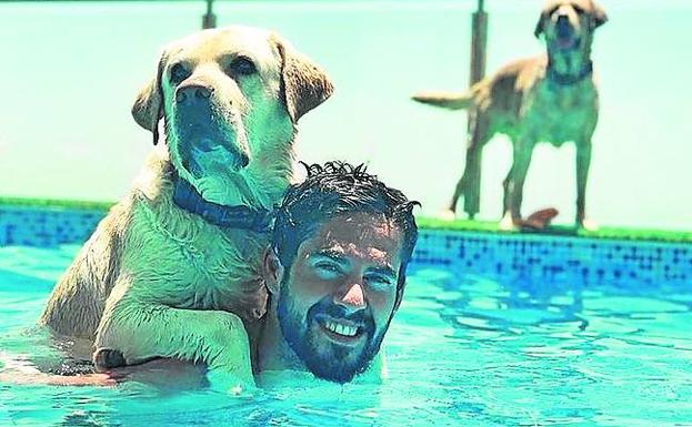 Imagen principal - Isco Alarcón en la piscina con sus perros // Zinedine Zidane y su mujer // Karim Benzemá.