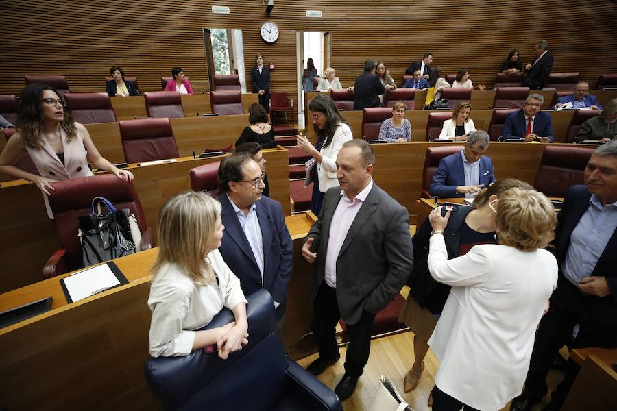 Fotos: Pleno de investidura de Ximo Puig en Les Corts