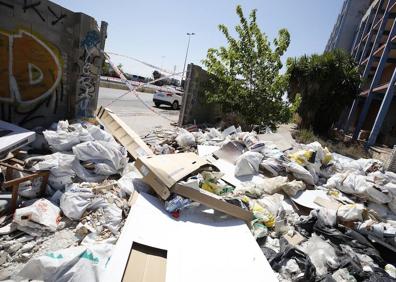 Imagen secundaria 1 - La basura acumulada.