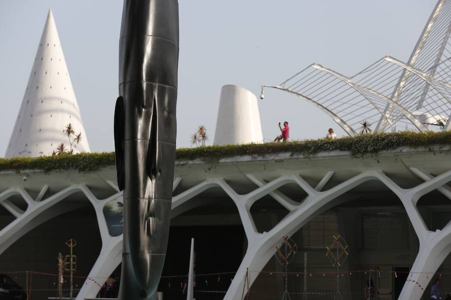 Minna, Isabella, Laura Asia, Maria, Laurelle, Carla y Silvia. Son los nombres de las grandes esculturas del artista Jaume Plensa que desde este jueves 26 de junio lucen en la Ciudad de las Ciencias de Valencia. La exposición, que se podrá ver hasta el 3 de noviembre, es todo un «homenaje a la feminidad», ha dicho el artista barcelonés. Plensa ha descrito la muestra, creada para Valencia, como una celebración de la mujer «en su diversidad». El creador ha vuelto a la capital del Turia tras más de una década para quedarse. La propia Hortensia Herrero ha afirmado que comprará «dos de estas cabezas escultóricas: una a título personal y otra al de la Fundación».