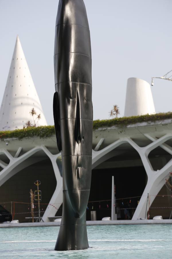 Minna, Isabella, Laura Asia, Maria, Laurelle, Carla y Silvia. Son los nombres de las grandes esculturas del artista Jaume Plensa que desde este jueves 26 de junio lucen en la Ciudad de las Ciencias de Valencia. La exposición, que se podrá ver hasta el 3 de noviembre, es todo un «homenaje a la feminidad», ha dicho el artista barcelonés. Plensa ha descrito la muestra, creada para Valencia, como una celebración de la mujer «en su diversidad». El creador ha vuelto a la capital del Turia tras más de una década para quedarse. La propia Hortensia Herrero ha afirmado que comprará «dos de estas cabezas escultóricas: una a título personal y otra al de la Fundación».