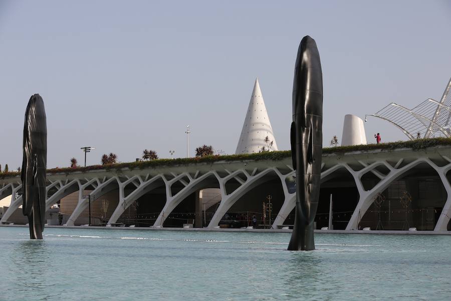 Minna, Isabella, Laura Asia, Maria, Laurelle, Carla y Silvia. Son los nombres de las grandes esculturas del artista Jaume Plensa que desde este jueves 26 de junio lucen en la Ciudad de las Ciencias de Valencia. La exposición, que se podrá ver hasta el 3 de noviembre, es todo un «homenaje a la feminidad», ha dicho el artista barcelonés. Plensa ha descrito la muestra, creada para Valencia, como una celebración de la mujer «en su diversidad». El creador ha vuelto a la capital del Turia tras más de una década para quedarse. La propia Hortensia Herrero ha afirmado que comprará «dos de estas cabezas escultóricas: una a título personal y otra al de la Fundación».