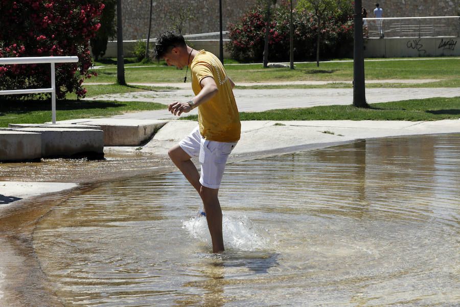 Temperaturas cercanas a los 40 grados en algunas poblaciones y las vacaciones aún lejos para muchos, empujan a los valencianos a buscar fórmulas para combatir el calor. Playas, piscinas y hasta fuentes son buenas para refrescarse. Hasta los animales del Bioparc tienen su ración de helado.