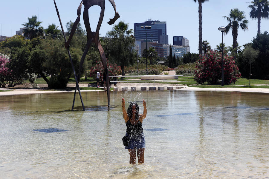 Temperaturas cercanas a los 40 grados en algunas poblaciones y las vacaciones aún lejos para muchos, empujan a los valencianos a buscar fórmulas para combatir el calor. Playas, piscinas y hasta fuentes son buenas para refrescarse. Hasta los animales del Bioparc tienen su ración de helado.