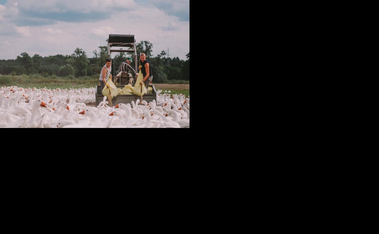 Un fotograma de 'Light as feathers', ganadora del premio Luna de Valencia de Cinema Jove.