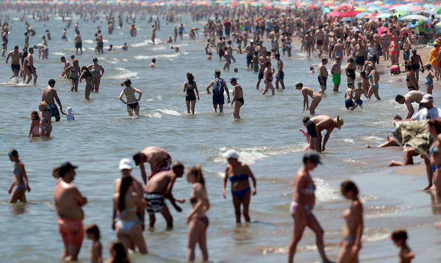 Temperaturas cercanas a los 40 grados en algunas poblaciones y las vacaciones aún lejos para muchos, empujan a los valencianos a buscar fórmulas para combatir el calor. Playas, piscinas y hasta fuentes son buenas para refrescarse. Hasta los animales del Bioparc tienen su ración de helado.