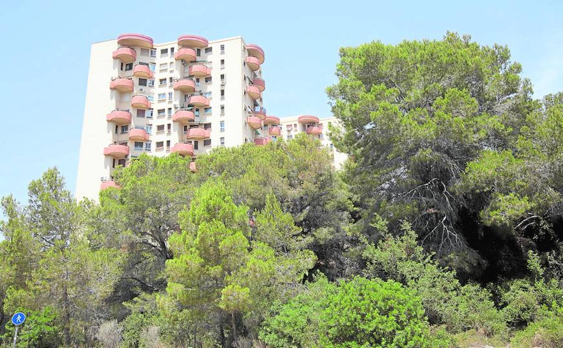 El bosque crece sin control en zonas muy próximas a los edificios de aprtamentos. 