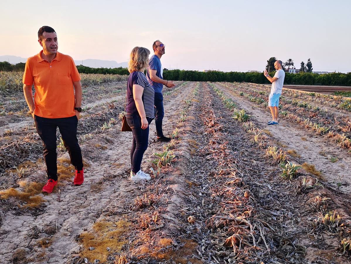 El cocinero Ricard Camarena participó este martes en la recuperación de la tradicional quema de los restos de la cosecha de la alcachofa en la huerta de Albalat dels Sorells. La 'Nit de la terra' fue la celebración del matrimonio entre el campo y la cocina.