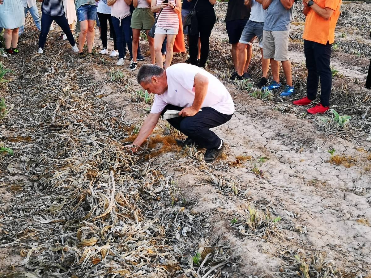 El cocinero Ricard Camarena participó este martes en la recuperación de la tradicional quema de los restos de la cosecha de la alcachofa en la huerta de Albalat dels Sorells. La 'Nit de la terra' fue la celebración del matrimonio entre el campo y la cocina.