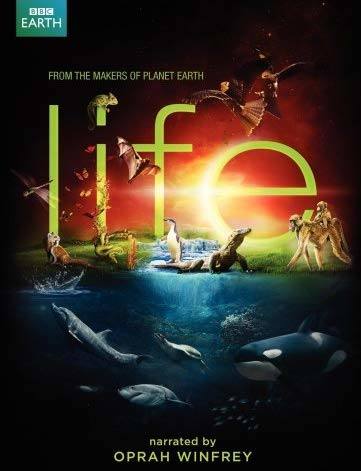 Life (2009). Serie documental narrada por Oprah Winfrey y llevada a cabo por el equipo de David Attenborough, en el que se analizan temas relacionados con la naturaleza, como las diferentes especies, la evolución de algunas de ellas, la caza...  Nota IMDb: 9,1 .