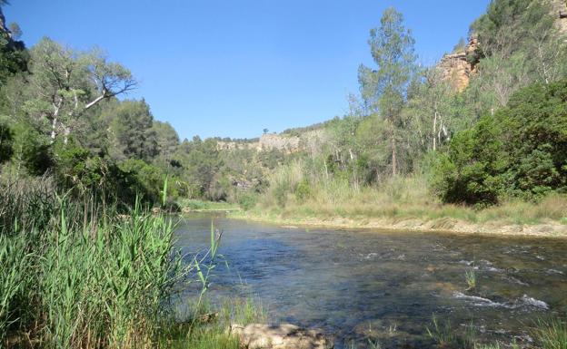 Fuente la Oliva en Hoces de Cabriel: un tesoro de Requena-Utiel