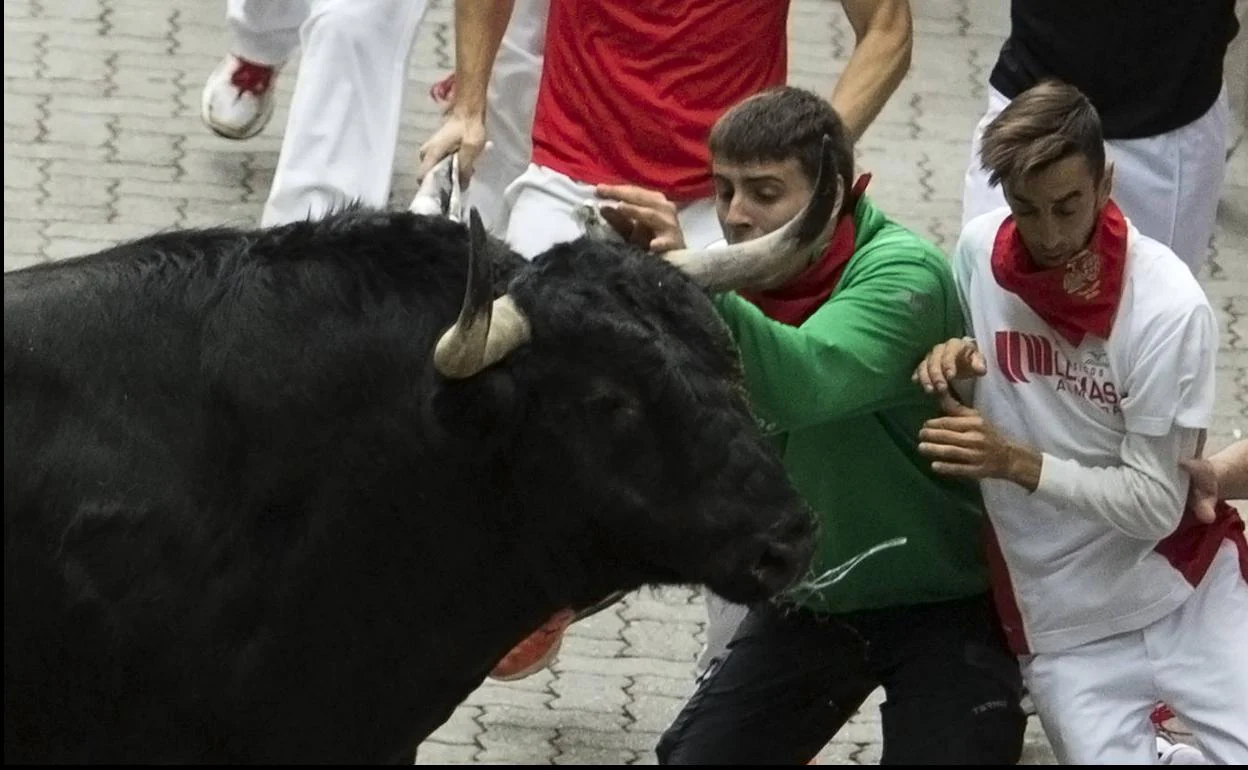 Los toros y los corredores, juntos en Pamplona.