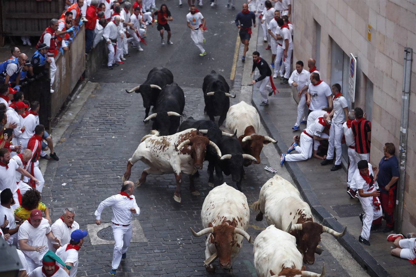 Los toros de El Puerto de San Lorenzo recorren rápidos el trazado de Pamplona dejando varios heridos en el primer encierro de San Fermín 2019.