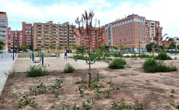 Imagen principal - Imágenes de la plaza Miquel Adlert Noguerol.