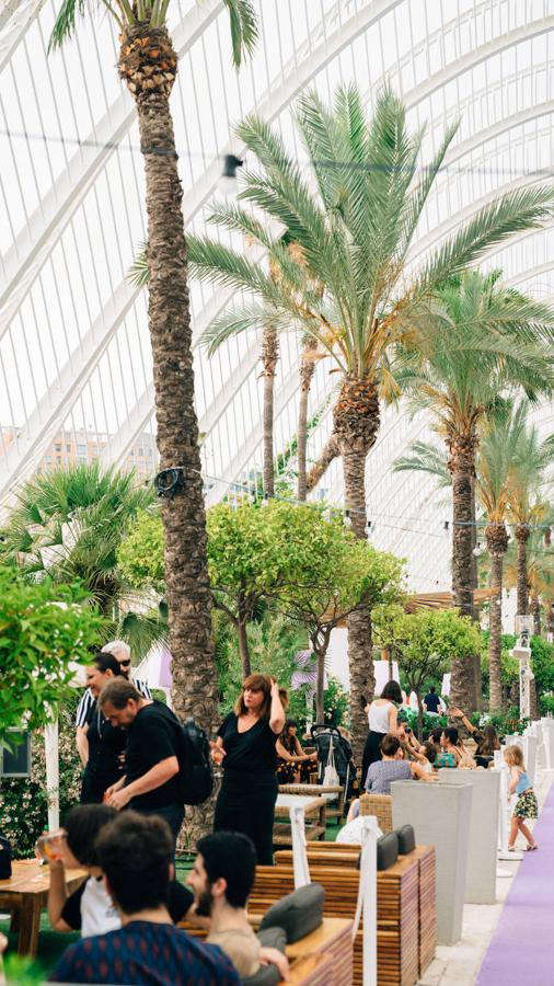 Uno de los espacios más veraniegos de Valencia se suma a los planes al aire libre con una jornada de música en directo, arte y buen ambiente bajo el nombre de Berenar! La propuesta cultural puede presumir de celebrarse en un entorno único como es la Ciudad de las Artes y las Ciencias de fondo. L'Umbracle se ha convertido en el escenario que ha recibido la actuación de Miqui Puig & ACP y las ilustraciones de Virginia Lorente, con un público valenciano que ha acogido el evento con un gran éxito. Si no has podido acercarte, el 28 de julio tienes otra cita con la que cerrar el mes junto al directo de Los Tiki Phantoms y las obras de la artista Laura Castelló. 