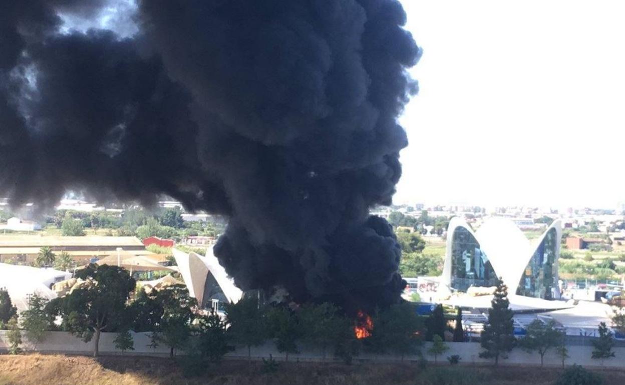 Todas las imágenes del incendio del Oceanogràfic