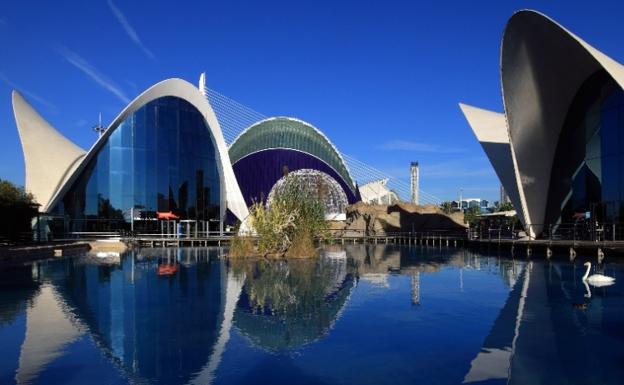 El Oceanogràfic abre esta noche el Restaurante Submarino y mañana todas sus instalaciones