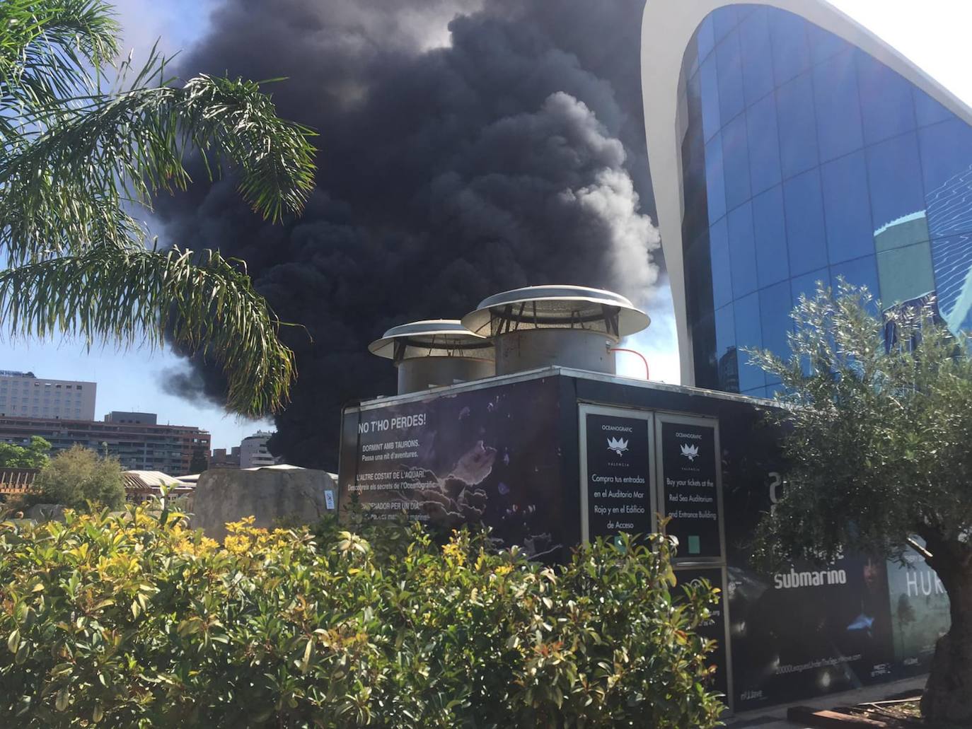 Fotos: Incendio en l&#039;Oceanogràfic de Valencia