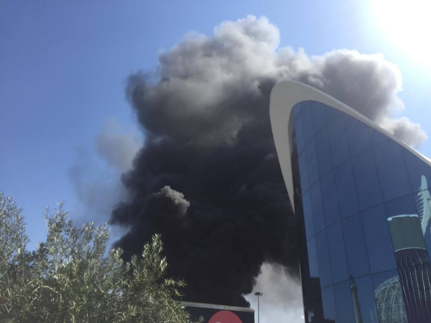 Fotos: Incendio en l&#039;Oceanogràfic de Valencia