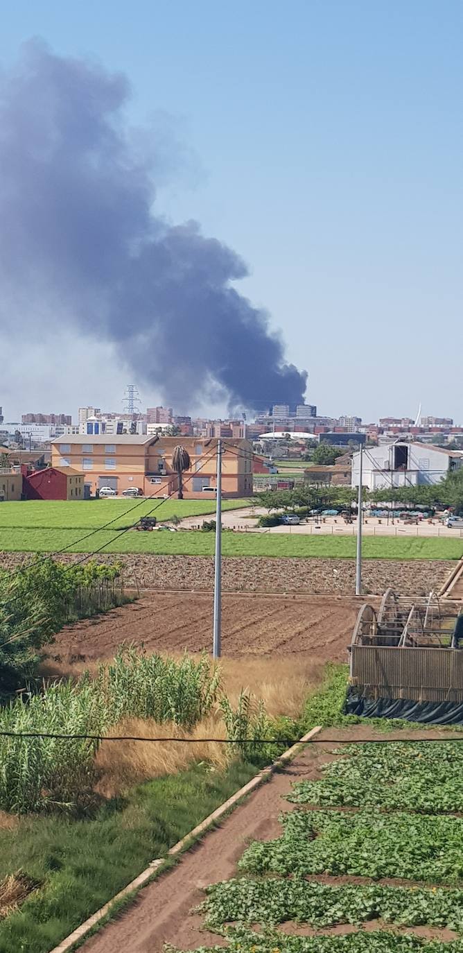 Fotos: Incendio en l&#039;Oceanogràfic de Valencia