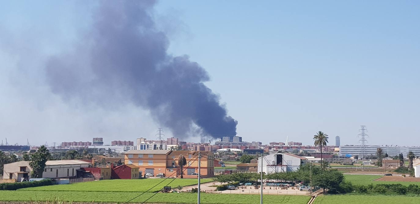 Fotos: Incendio en l&#039;Oceanogràfic de Valencia