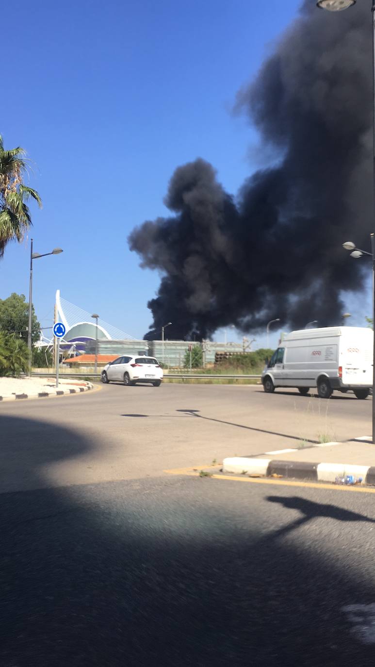 Fotos: Incendio en l&#039;Oceanogràfic de Valencia