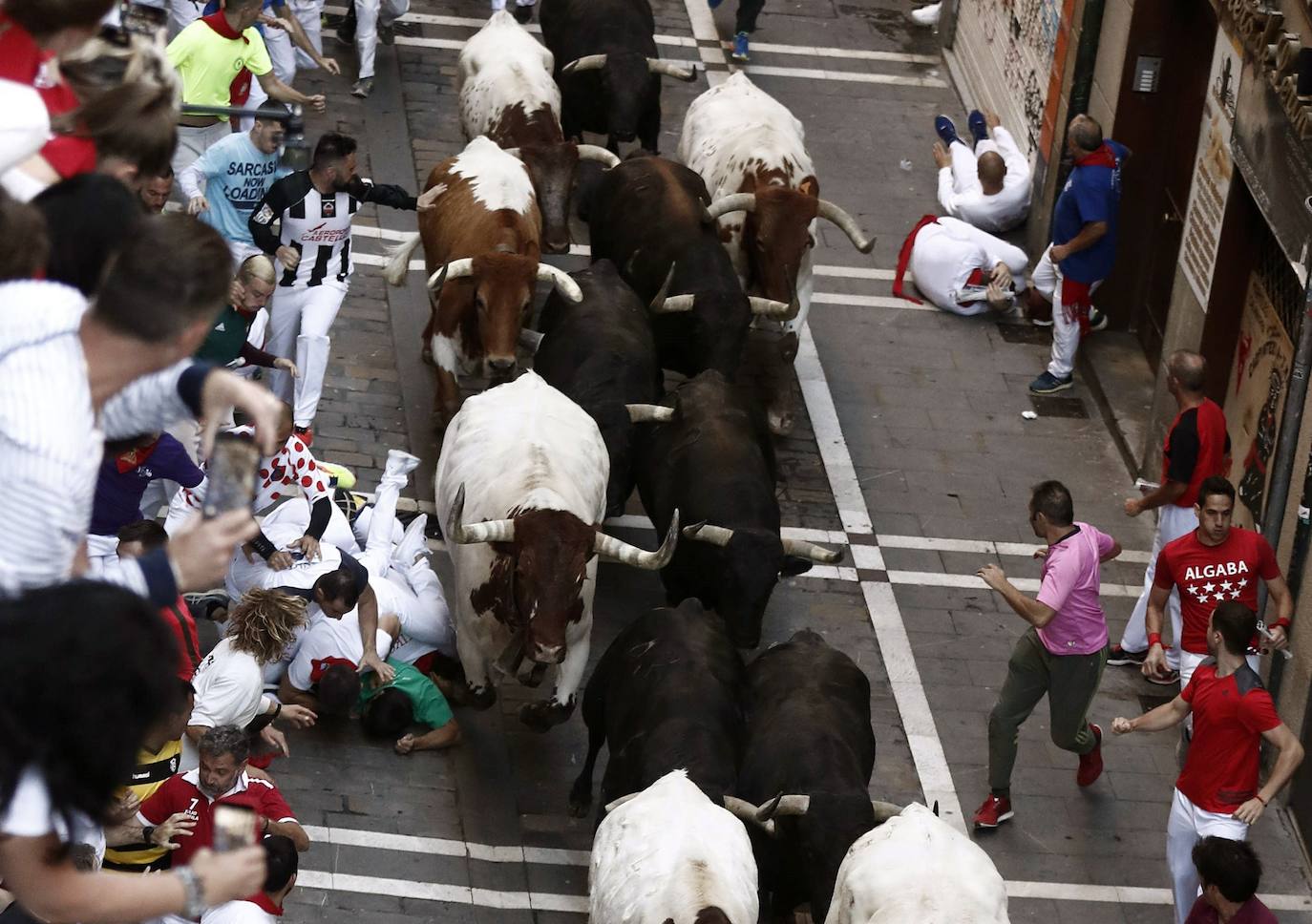 Los toros de Jandilla siguen la tónica de encierro veloz. Los astados dejan fuera su fama de peligrosos tras realizar un recorrido rápido y ordenado en dos minutos y diecinueve segundos. La carrera ha finalizado sin heridos, aunque con bastantes golpes.