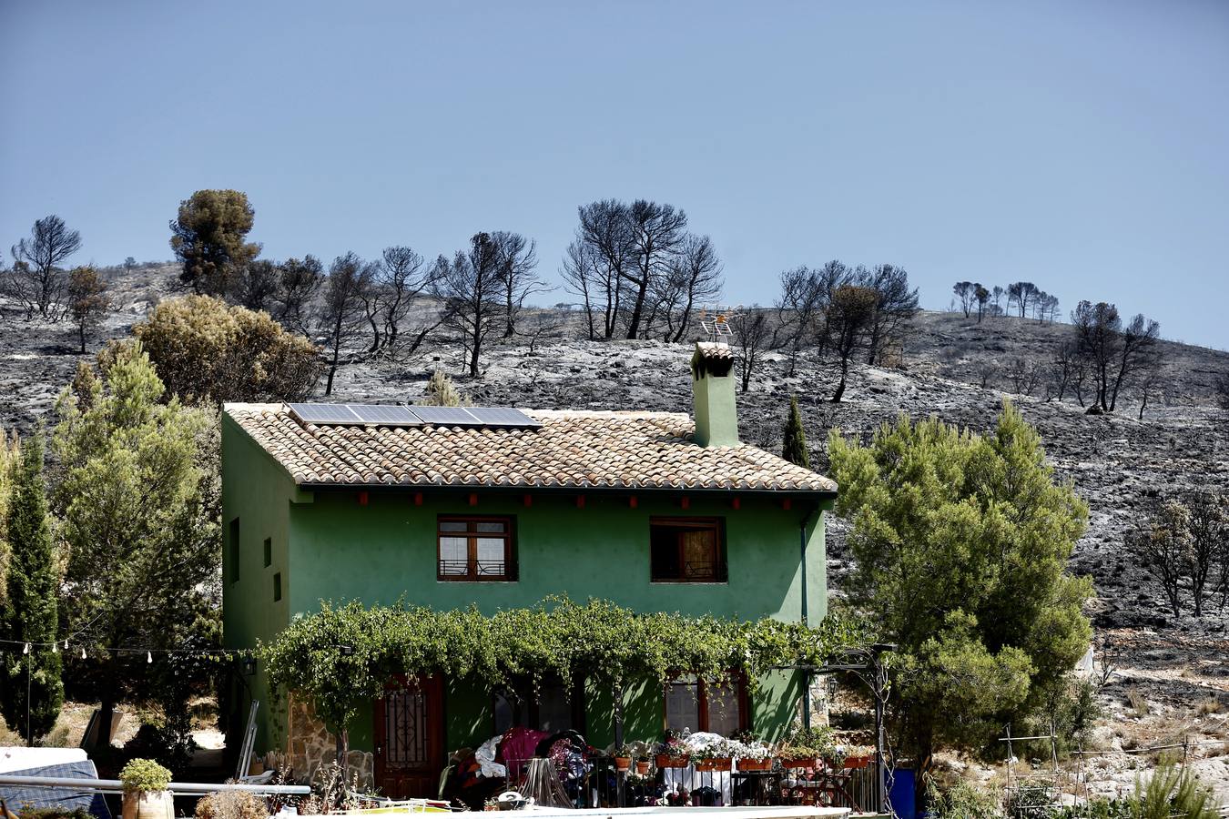 Un incendio forestal en Beneixama (interior norte de Alicante), cerca de la comarca de la Vall d'Albaida (Valencia), ha movilizado a media tarde del lunes a medio centenar de vehículos y equipos terrestres y una quincena de aéreos.