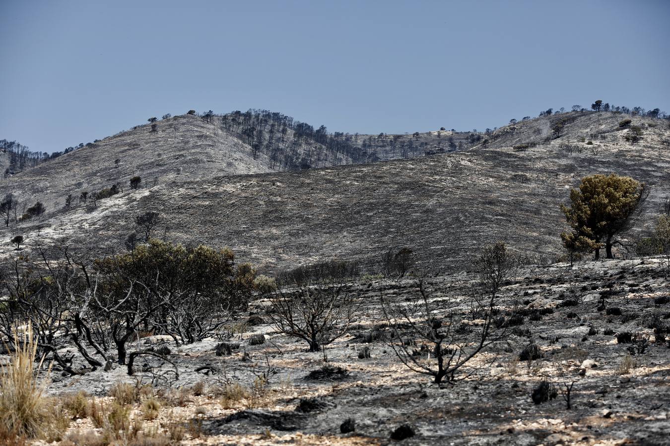 Un incendio forestal en Beneixama (interior norte de Alicante), cerca de la comarca de la Vall d'Albaida (Valencia), ha movilizado a media tarde del lunes a medio centenar de vehículos y equipos terrestres y una quincena de aéreos.