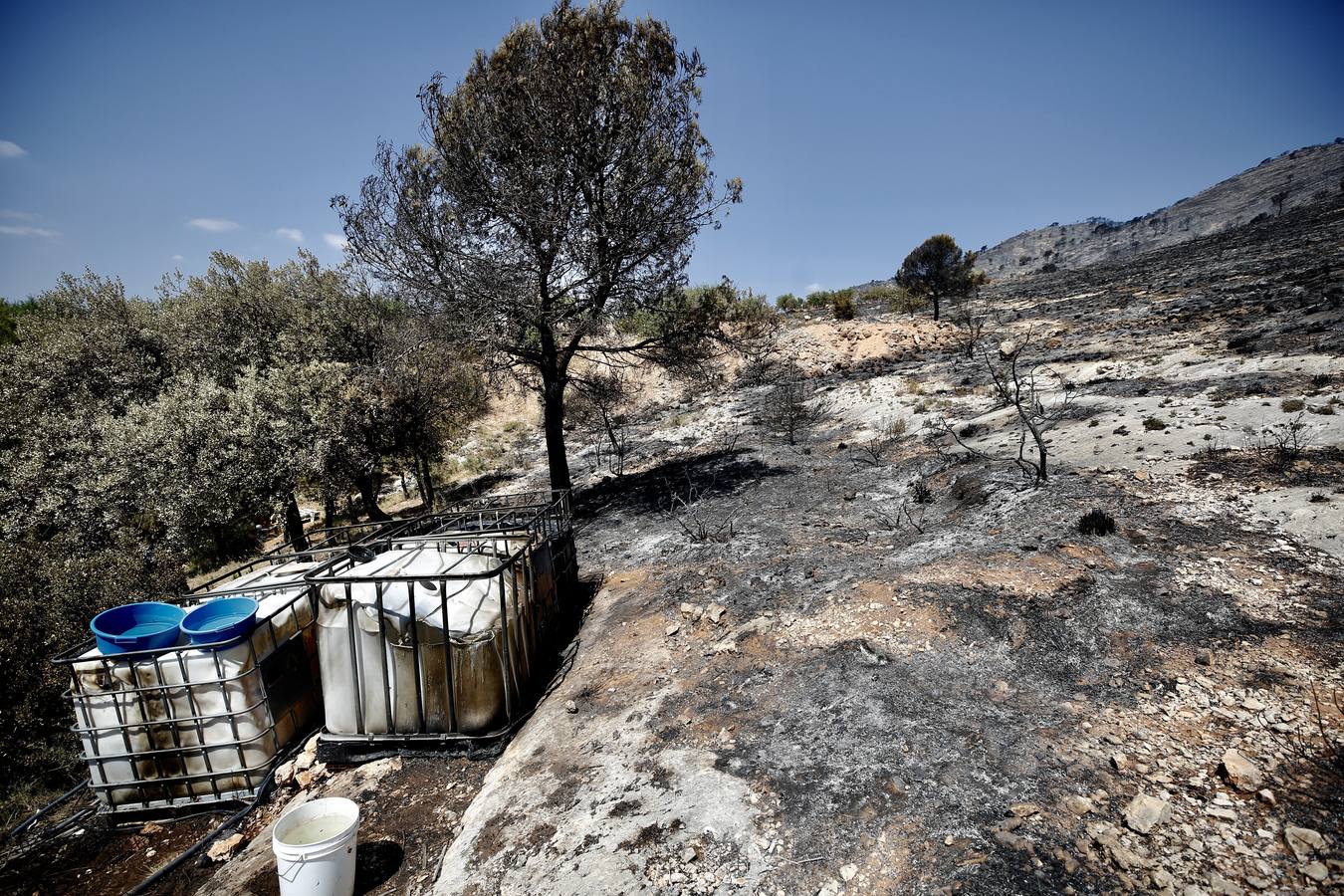 Un incendio forestal en Beneixama (interior norte de Alicante), cerca de la comarca de la Vall d'Albaida (Valencia), ha movilizado a media tarde del lunes a medio centenar de vehículos y equipos terrestres y una quincena de aéreos.