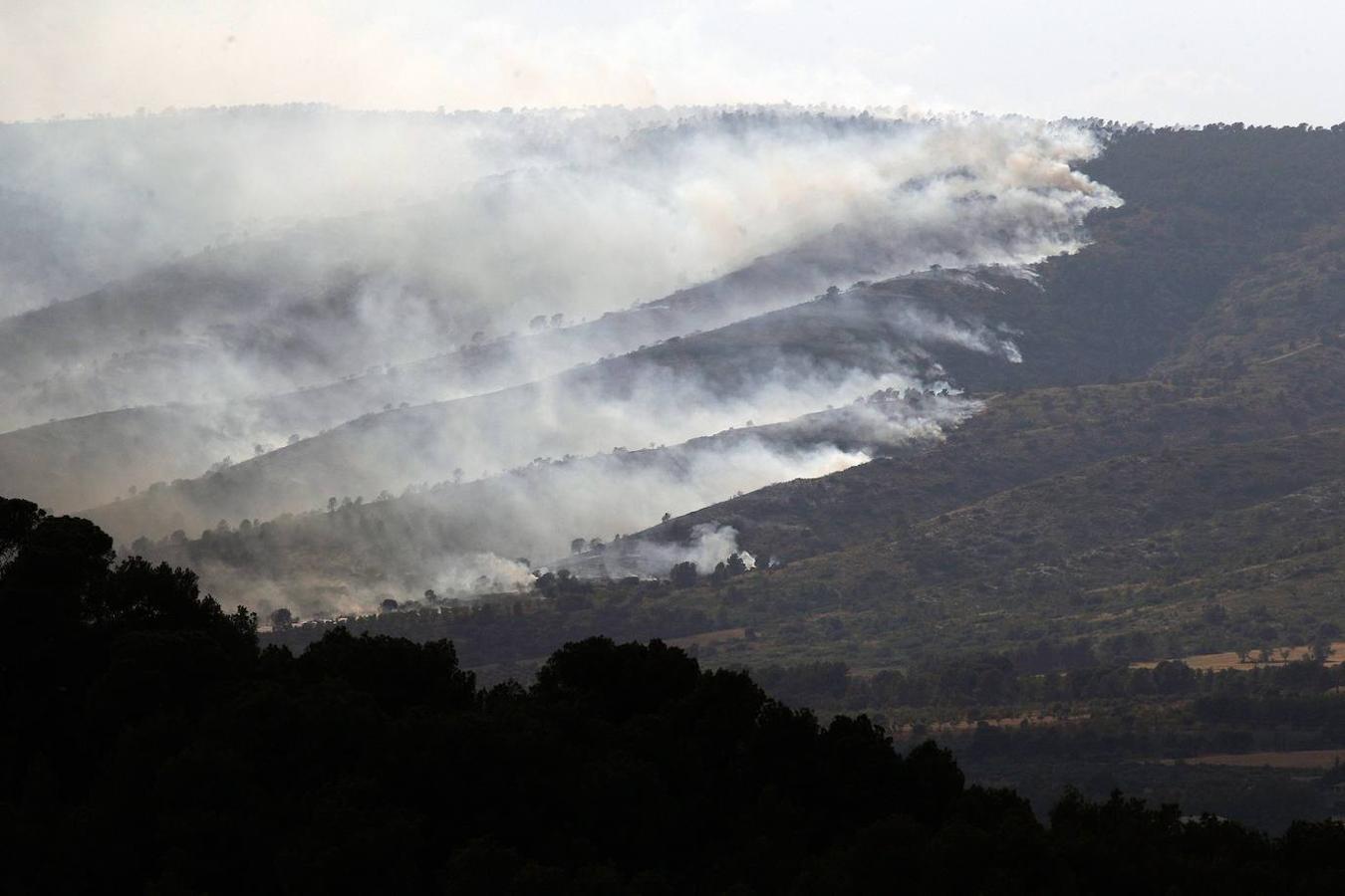 Un incendio forestal en Beneixama (interior norte de Alicante), cerca de la comarca de la Vall d'Albaida (Valencia), ha movilizado a media tarde del lunes a medio centenar de vehículos y equipos terrestres y una quincena de aéreos.