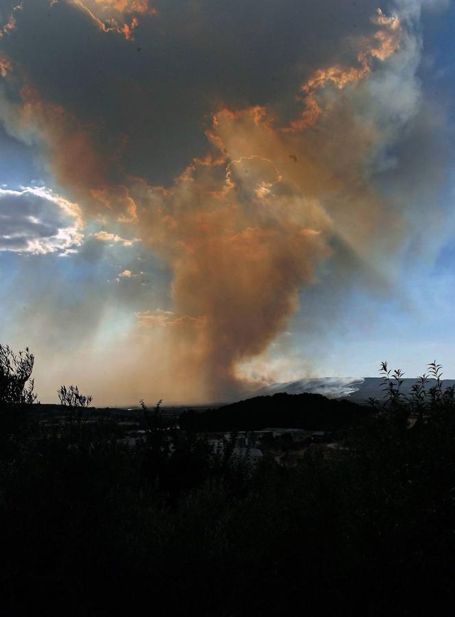 Un incendio forestal en Beneixama (interior norte de Alicante), cerca de la comarca de la Vall d'Albaida (Valencia), ha movilizado a media tarde del lunes a medio centenar de vehículos y equipos terrestres y una quincena de aéreos.