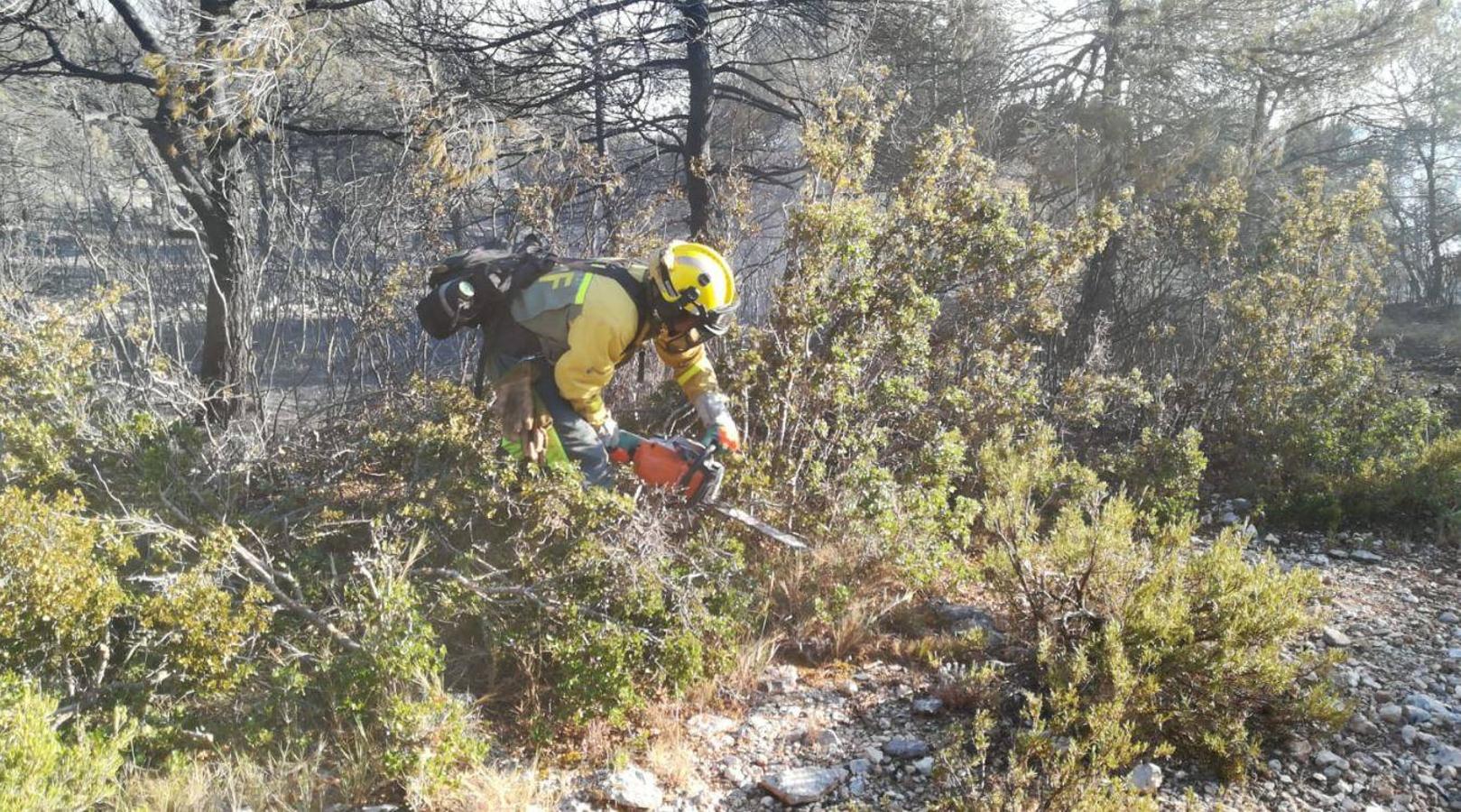 Un incendio forestal en Beneixama (interior norte de Alicante), cerca de la comarca de la Vall d'Albaida (Valencia), ha movilizado a media tarde del lunes a medio centenar de vehículos y equipos terrestres y una quincena de aéreos.