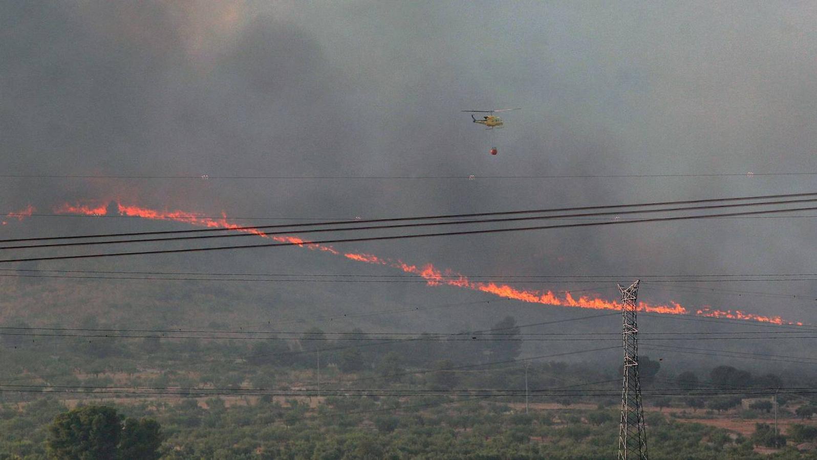 Un incendio forestal en Beneixama (interior norte de Alicante), cerca de la comarca de la Vall d'Albaida (Valencia), ha movilizado a media tarde del lunes a medio centenar de vehículos y equipos terrestres y una quincena de aéreos.