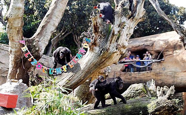 Imagen principal - La fiesta de Coco. 