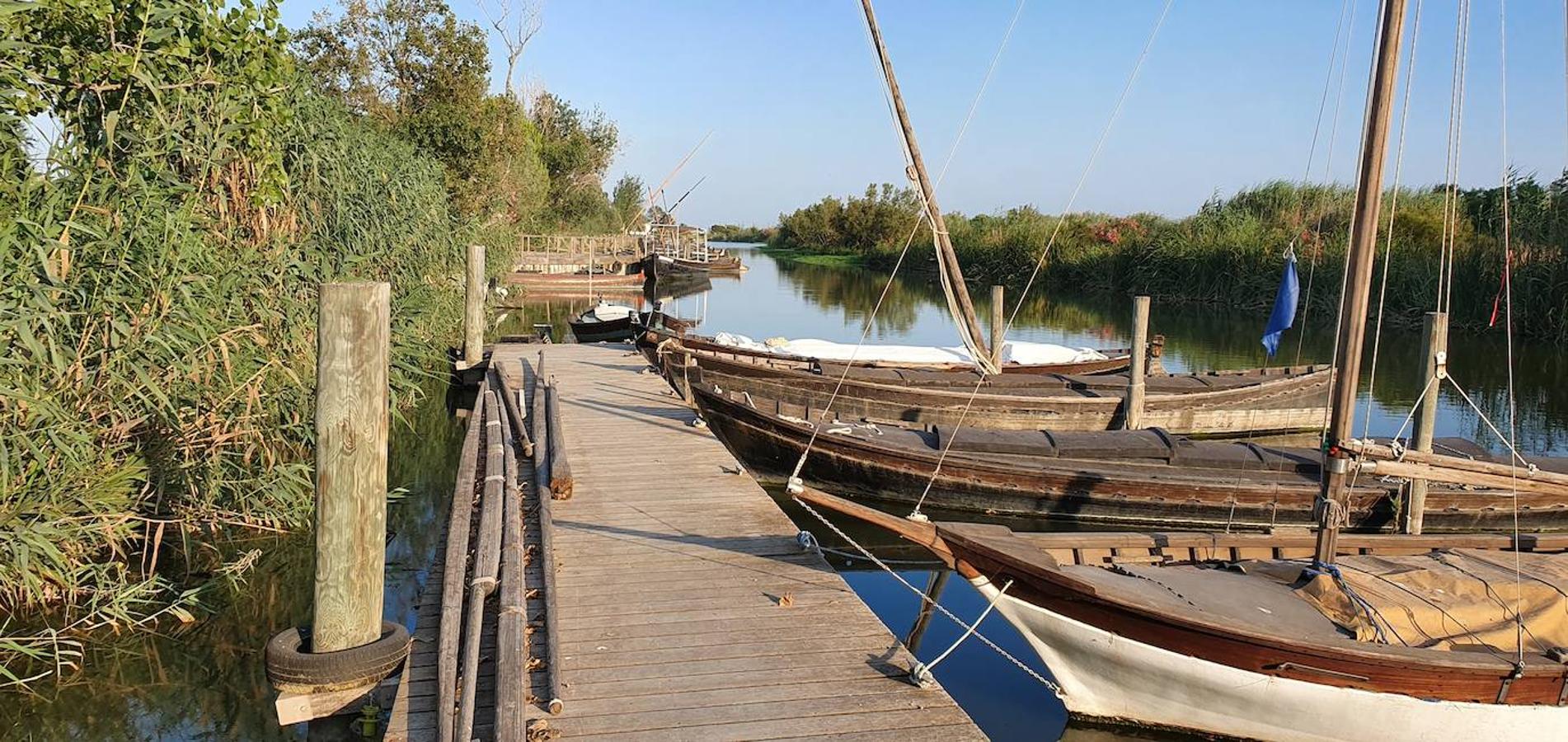 El puerto de Catarroja, naturaleza en barca