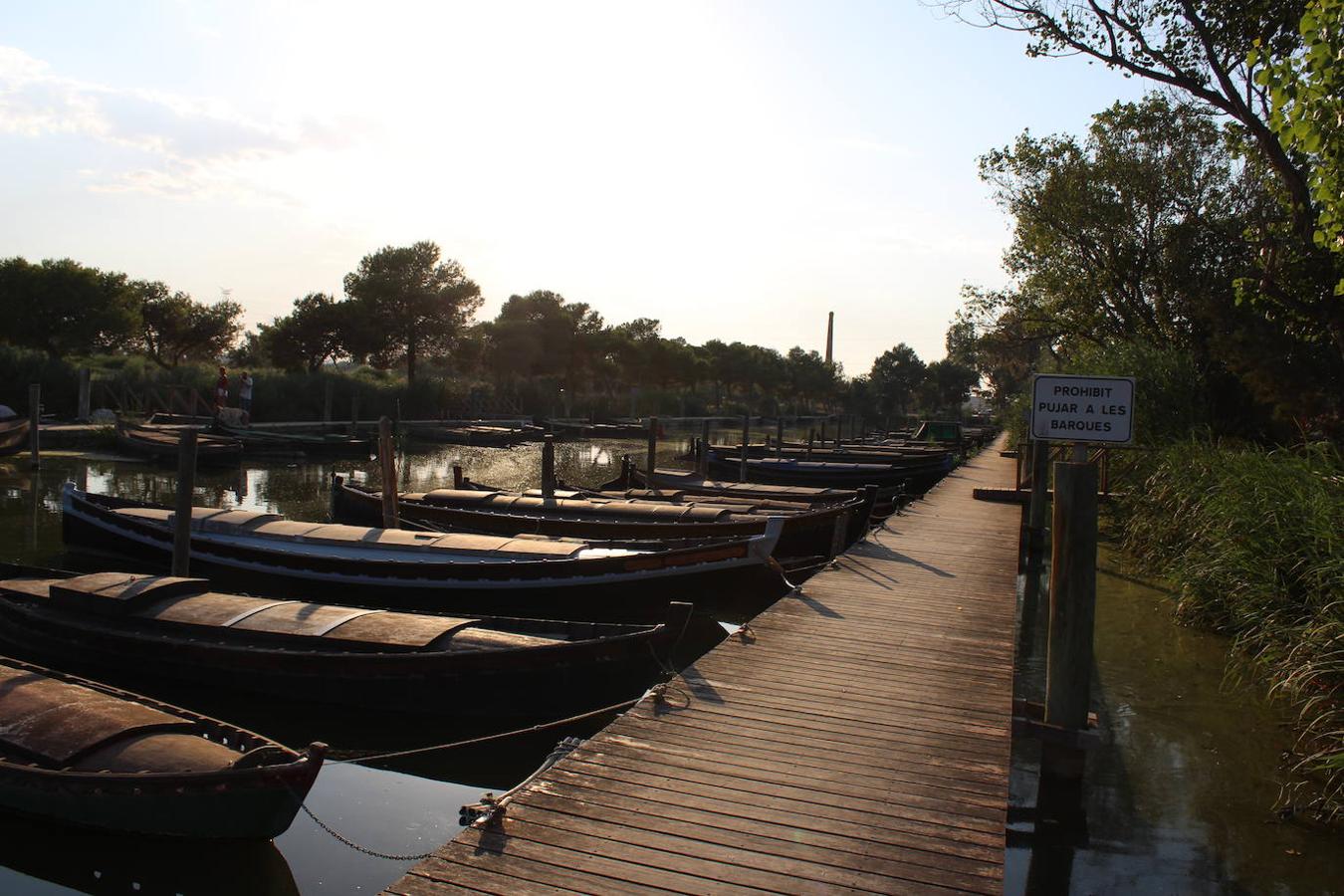 El puerto de Catarroja, naturaleza en barca