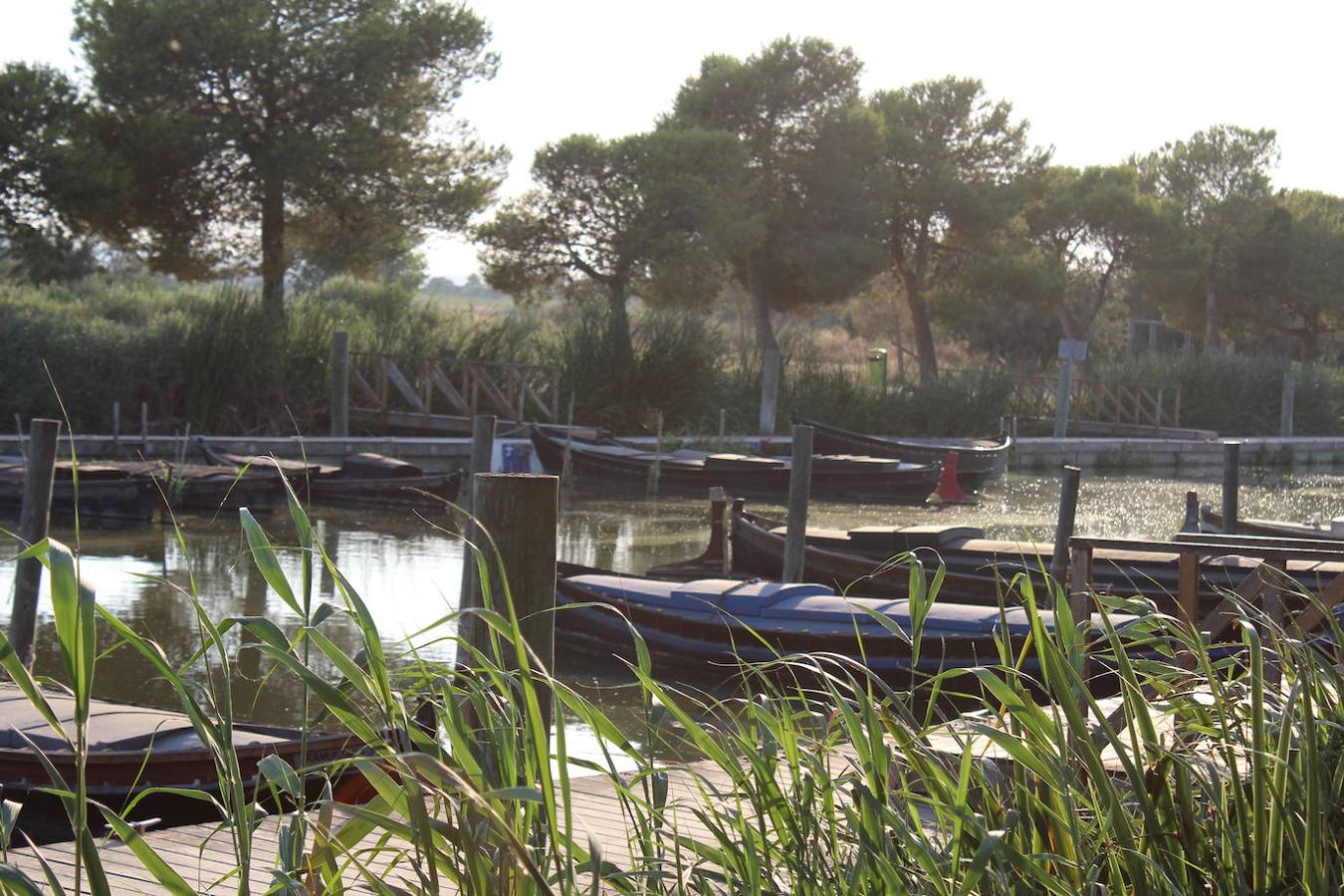 El puerto de Catarroja, naturaleza en barca