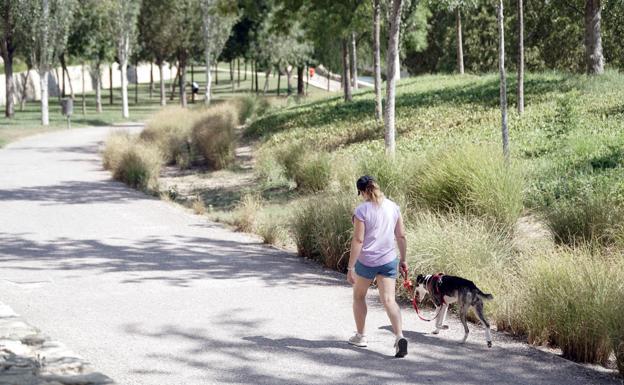 Imagen principal - El Parque de Cabecera permite dar tranquilos paseos, acompañado o no por mascotas, a lo largo de sus instalaciones. 