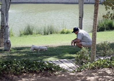 Imagen secundaria 1 - El Parque de Cabecera permite dar tranquilos paseos, acompañado o no por mascotas, a lo largo de sus instalaciones. 