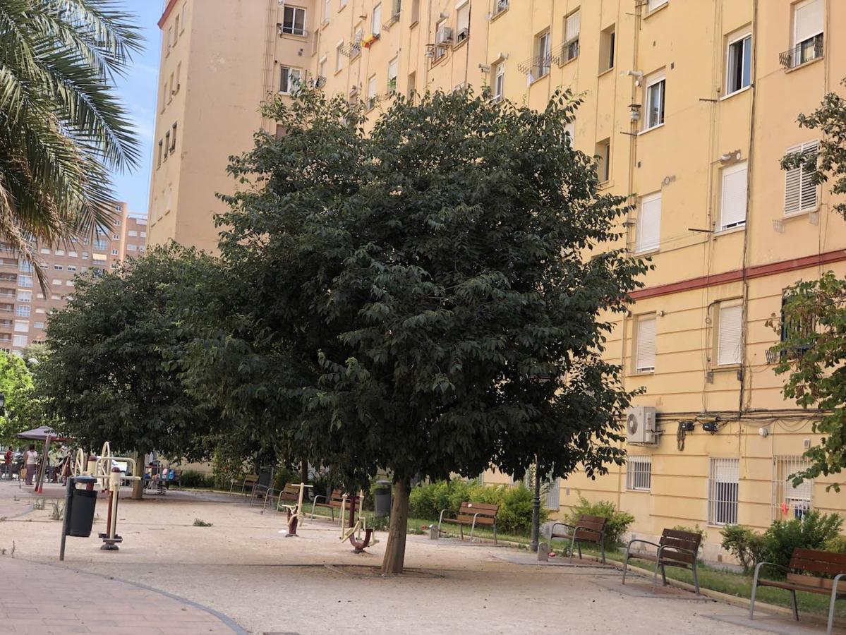 Fotos: El barrio de La Isla: antes perdida y ahora afortunada