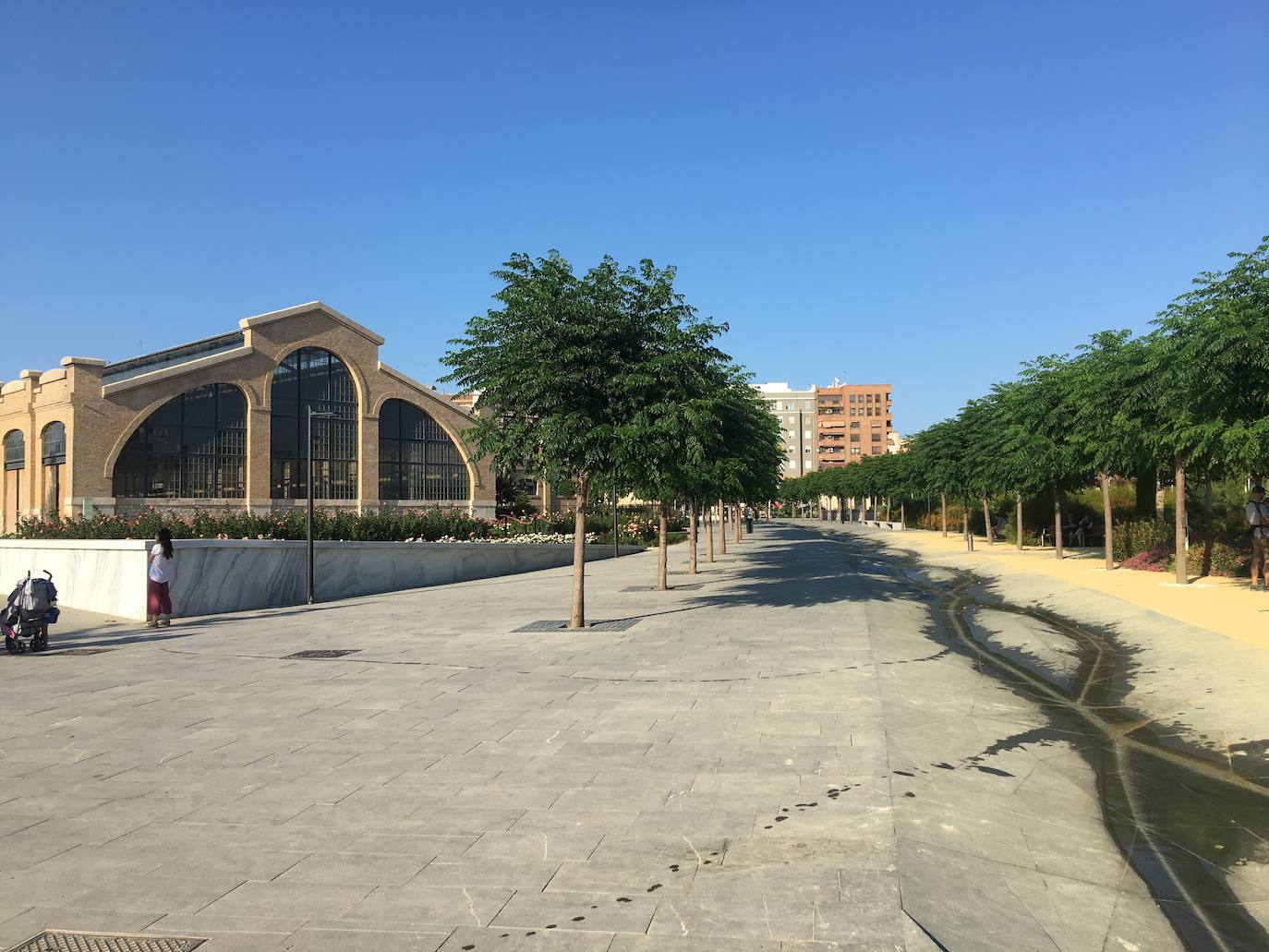 El Parc Central de Valencia, un lugar excepcional para pasar el verano sin salir de la ciudad.