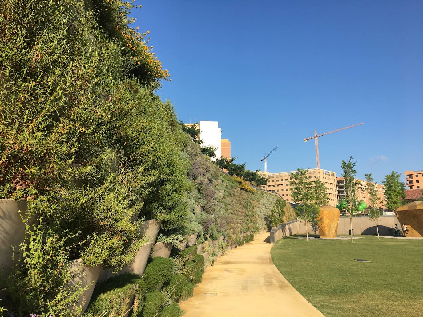 El Parc Central de Valencia, un lugar excepcional para pasar el verano sin salir de la ciudad.