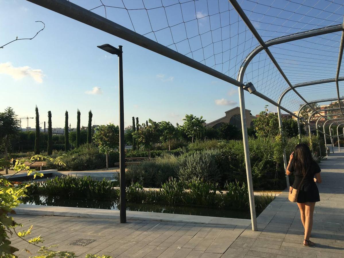 El Parc Central de Valencia, un lugar excepcional para pasar el verano sin salir de la ciudad.