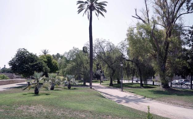 Jardines de Alameditas de Serranos.