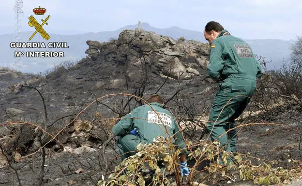 Efectivos del Seprona investigan el origen de un incendio forestal.