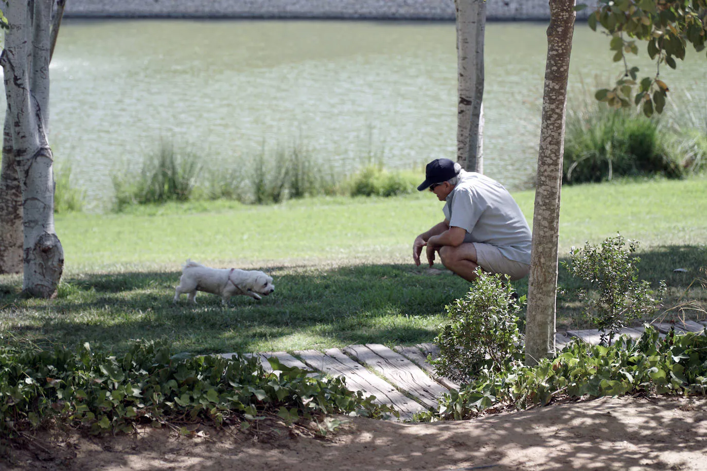 Fotos: Parque de Cabecera 2019