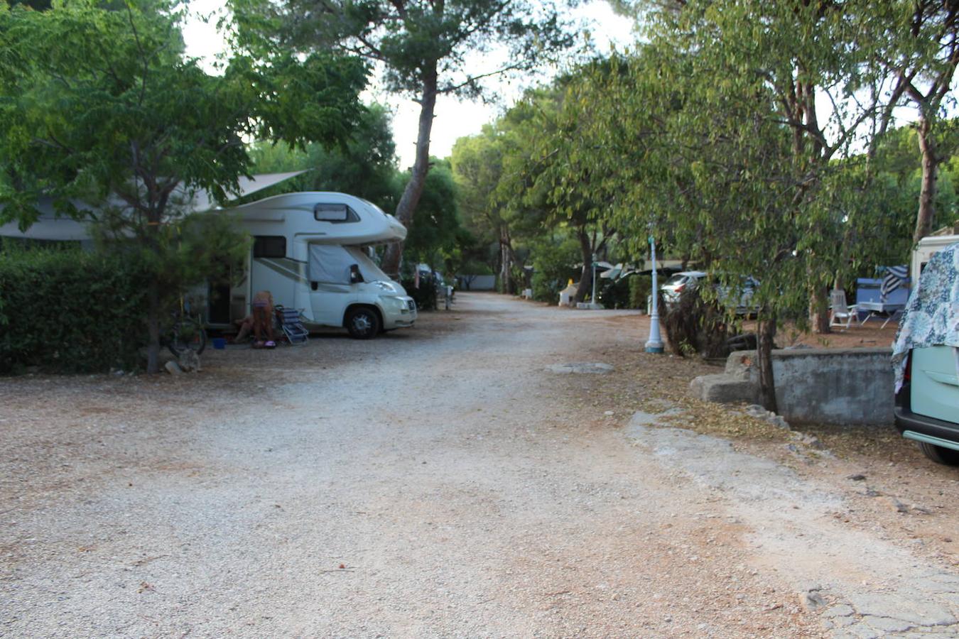 Camping Los Pinos