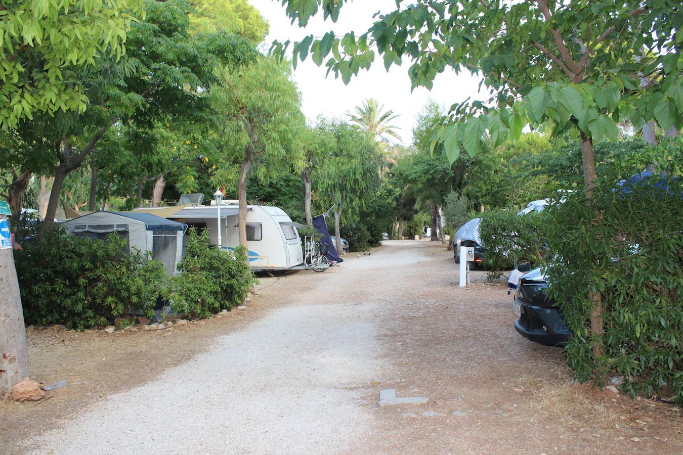 Camping Los Pinos.